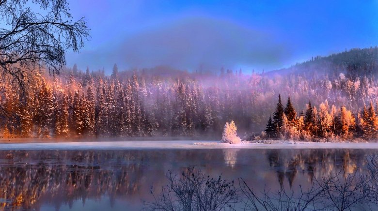 gallery/f01144b4ed6a66eb81d39b5c56538206