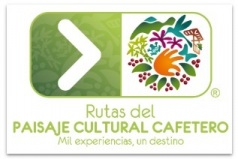 gallery/sin título6